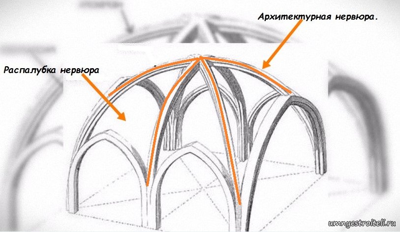 Нервюрами в готической архитектуре называются