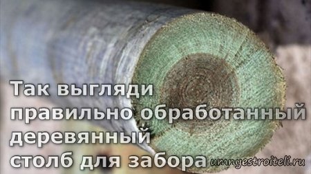 какое дерево лучше для столбов для забора